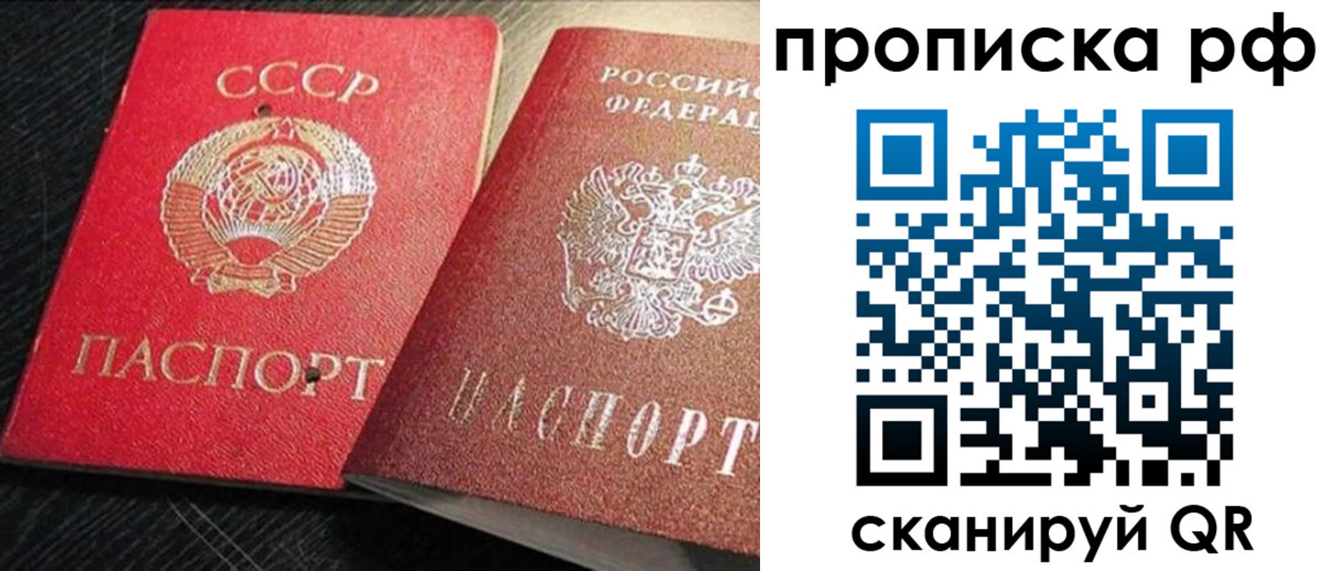 где прописаться в Московской области